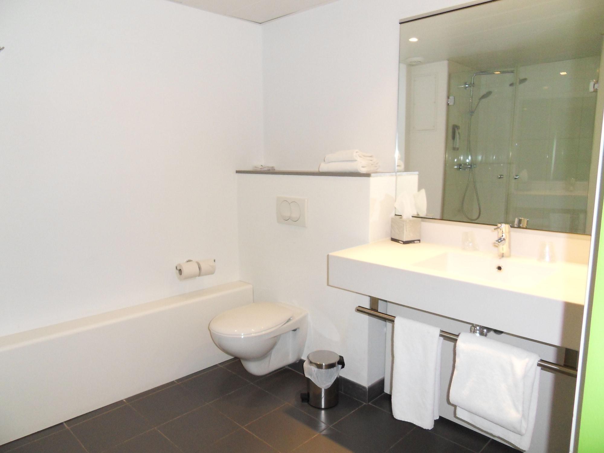 מלון Ibis Styles Grenoble Centre Gare מראה חיצוני תמונה